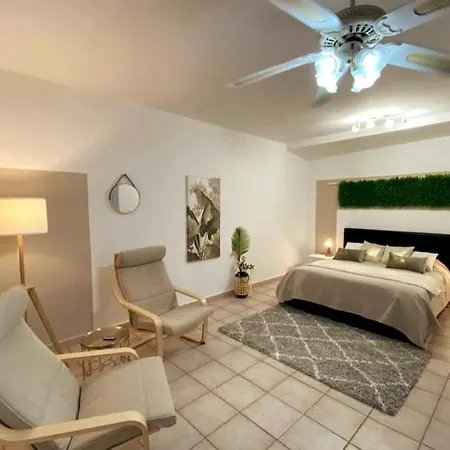 Spacious 500 M From The Sea! Playa Del Duque 別荘