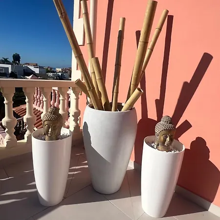 Spacious 500 M From The Sea! Playa Del Duque בית נופש *